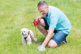 Dog Pooper Scoopers